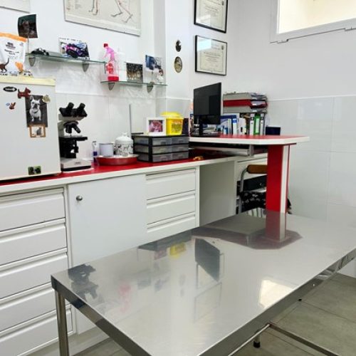 Consulta veterinaria